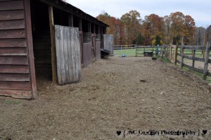 Barn - Before Picture