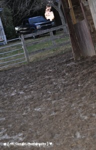 Muddy Barn
