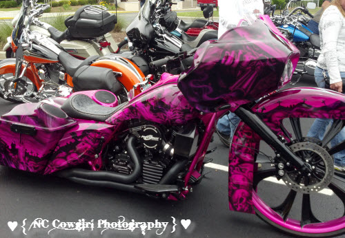 Pink and Black Scull Harley