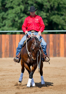 Training Horses: Two Methods that Work