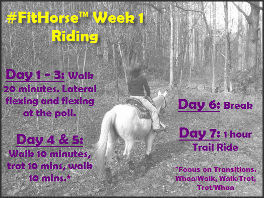 FitHorse Week 1 Riding