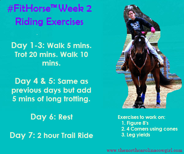 FitHorse Week 2 Riding Exercises