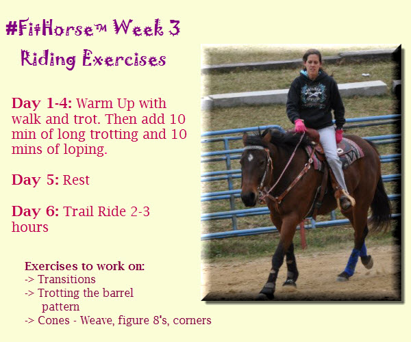 #Fithorse Week 3 Riding Routine