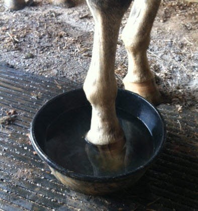 Soaking foot