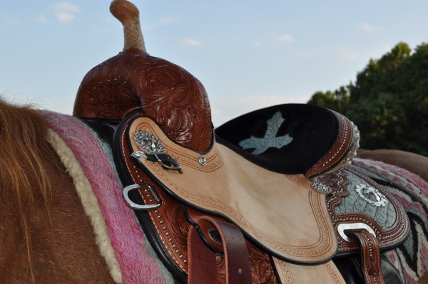 kelly kaminski barrel saddle