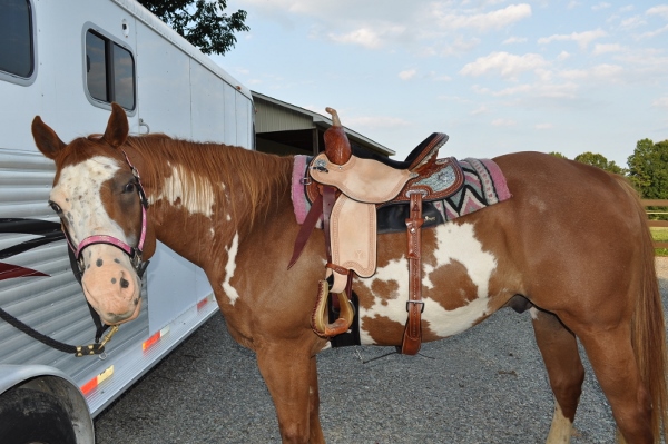 Barrel saddle