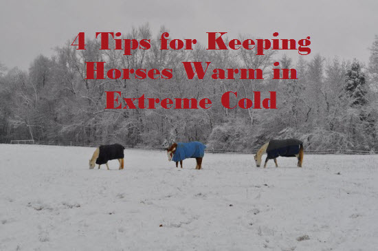 Keep Horses Warm in Winter