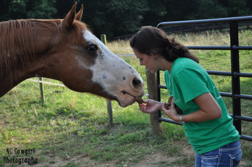 feeding horse a treat