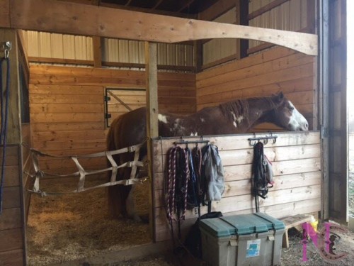 Custom arched horse stall fronts
