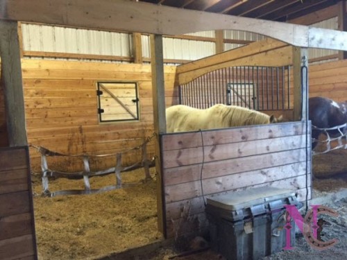 Custom arched horse stall fronts