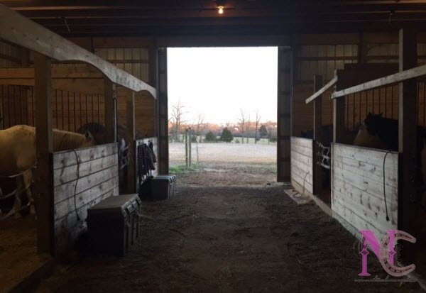 Custom arched horse stall fronts