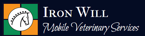 Iron Will Vets