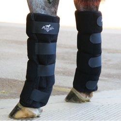 horse ice boots