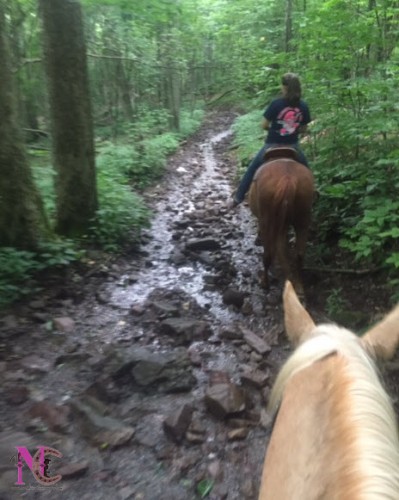 trail riding