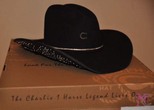Charlie 1 Horse Hat