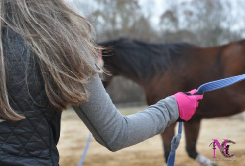 Riding Gloves