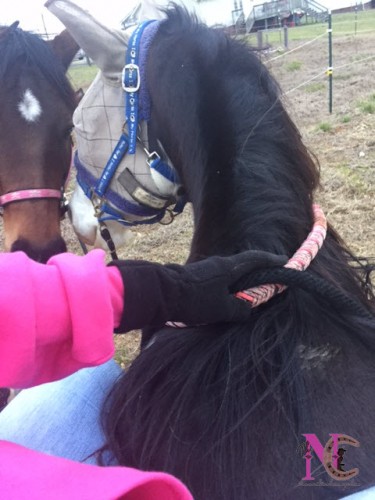 Bareback Riding