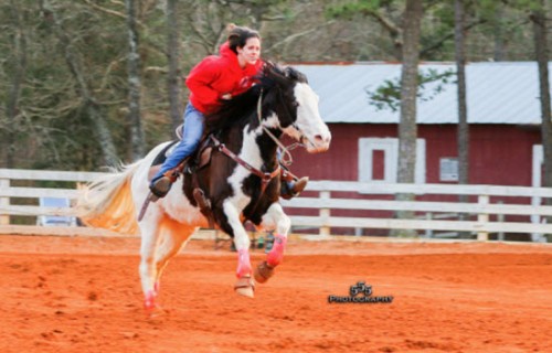 barrel racing run home