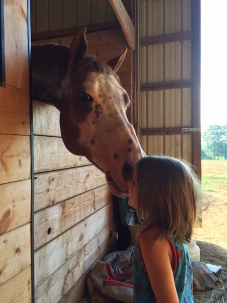 horse kisses girl