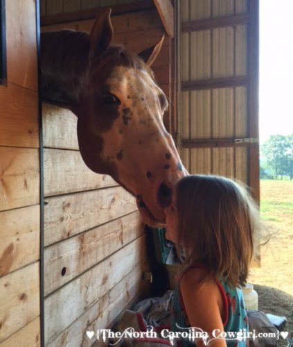 little girl and horse