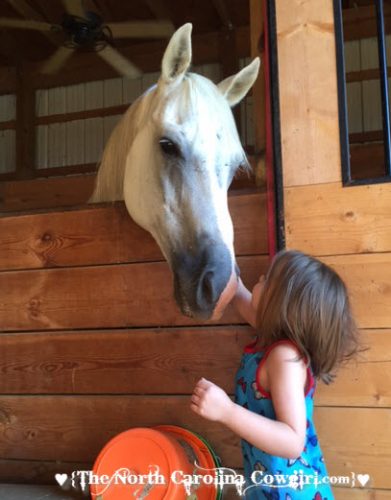 little girl and horse