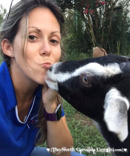 goat kisses