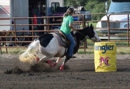 barrel-racing-paint-horse