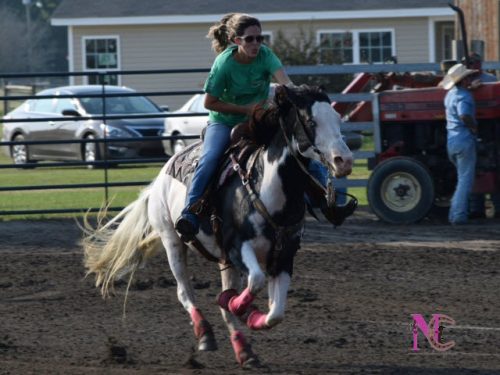 barrel-racing-paint-horse-mare