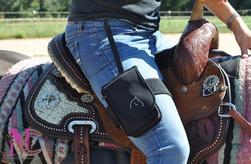 horse holster