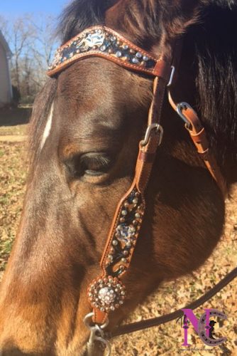 hand painted headstall