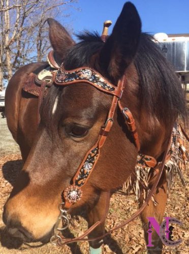 hand painted tack set with fringe