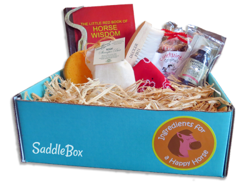 SaddleBox-Monthly-Horse-Subscription