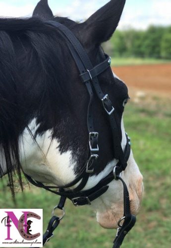 Two Horse Tack english bridle