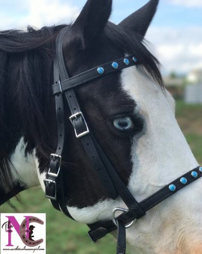 Two Horse Tack bitless bridle