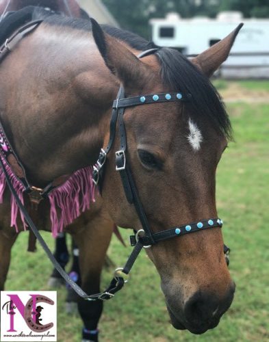 Halter Bridle for Horses - Two Horse Tack