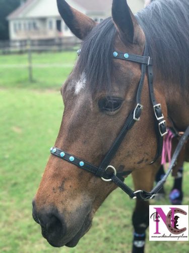 Halter Bridle for Horses - Two Horse Tack