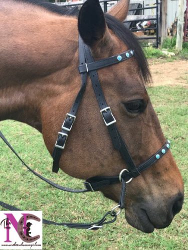 Halter Bridle for Horses - Two Horse Tack