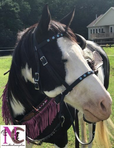 Two Horse Tack bridle