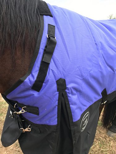 showman horse blanket