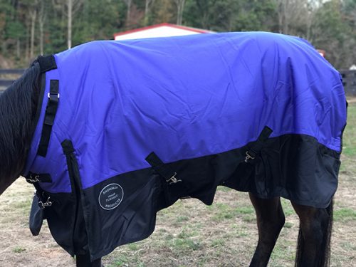 showman horse blanket