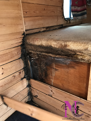 Mold Growing in Horse Trailer