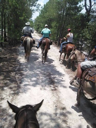 Trails at Lumber River