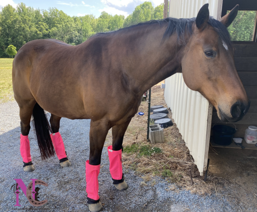 shoofly fly boots