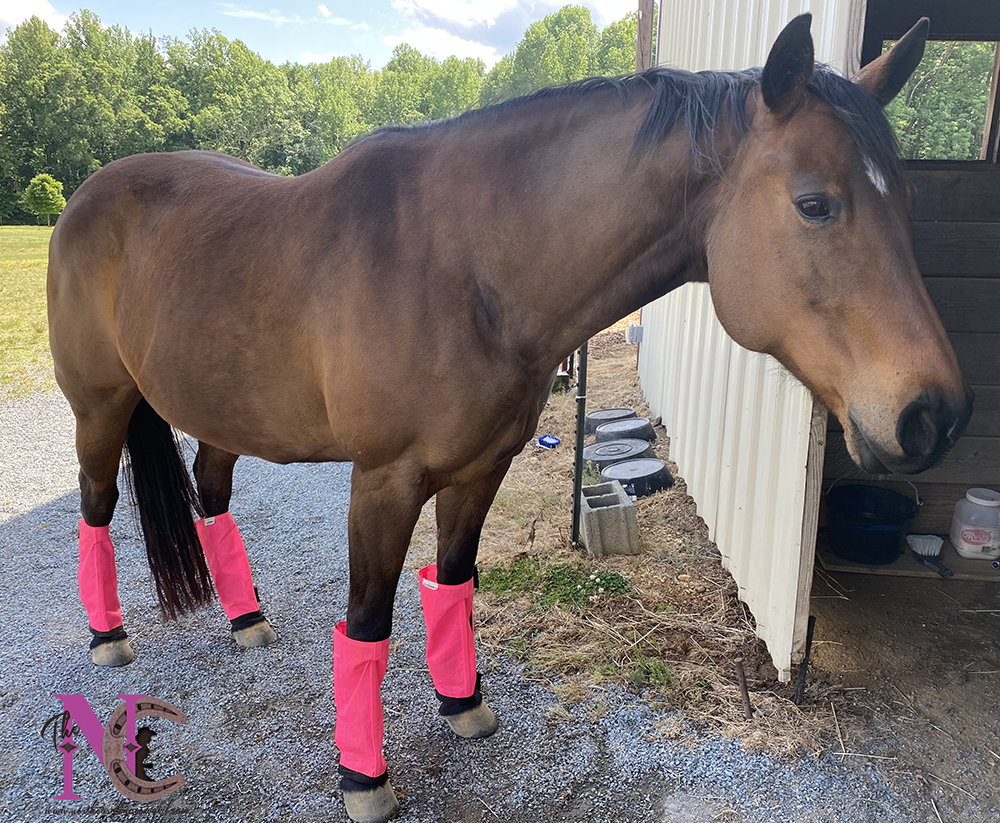 shoofly fly boots