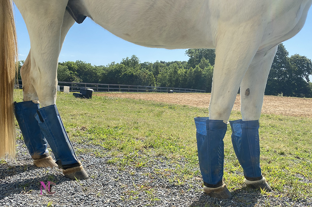 Fly boots for horses best sale