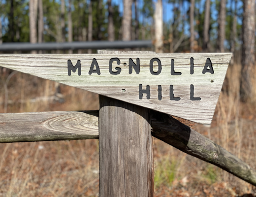 Magnolia Hill sign